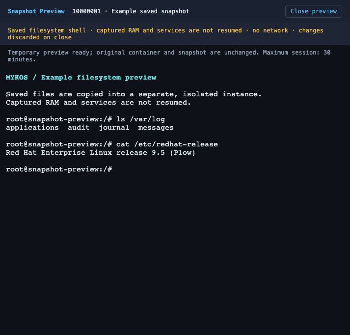 Separate Snapshot Preview console showing its filesystem-only notice and illustrative terminal output